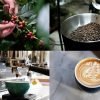 Izon Coffee Beans