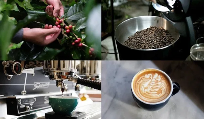 Izon Coffee Beans