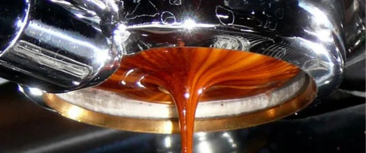 Izon Coffee Coffee Extraction