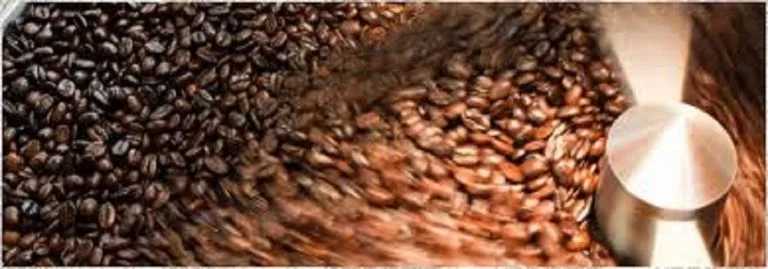 Izon Coffee Roastery 1