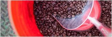 Izon Coffee Roastery WebSite 8