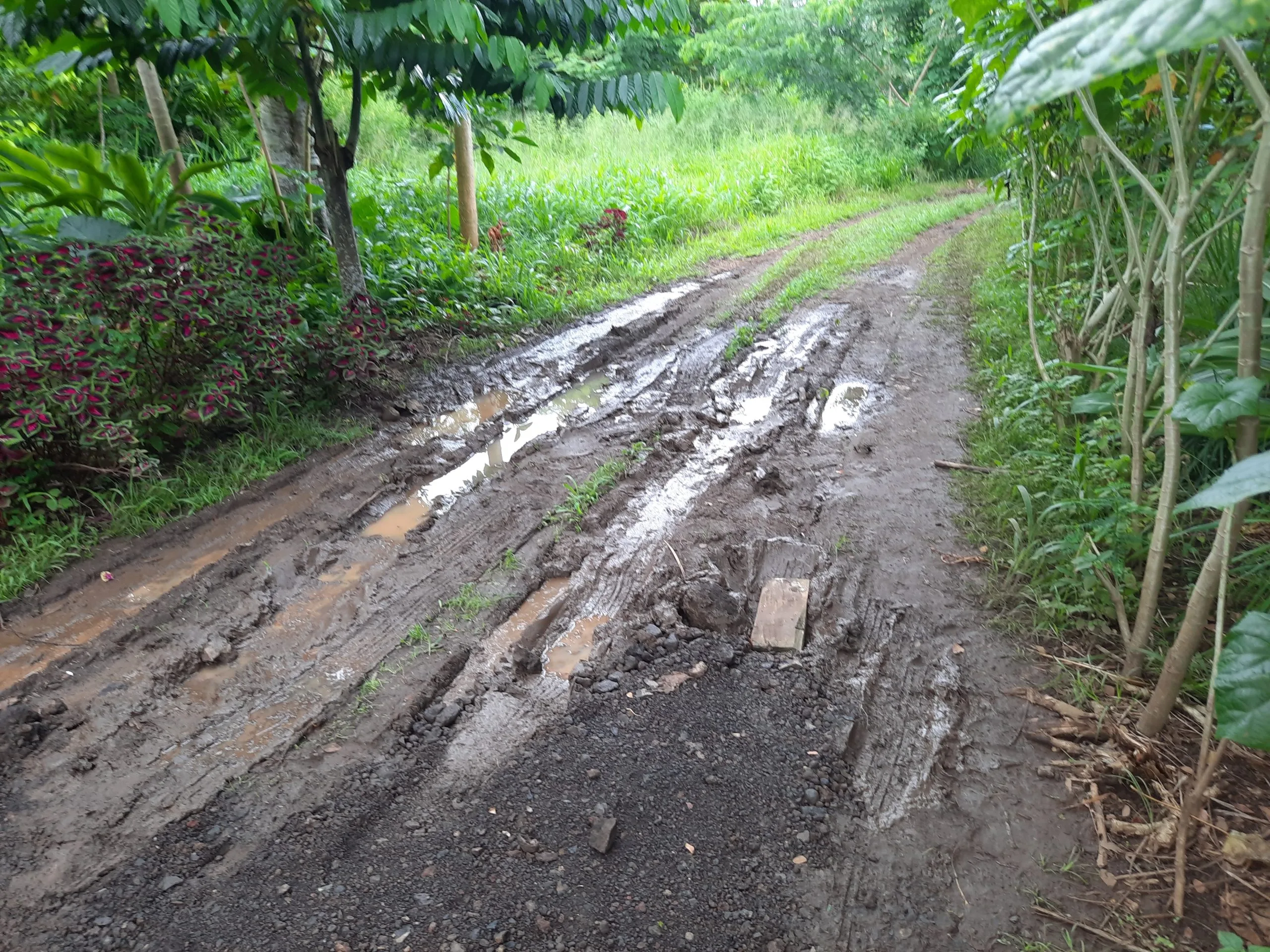 Donation $3 For Samoa Village Lepea Support - Image 6