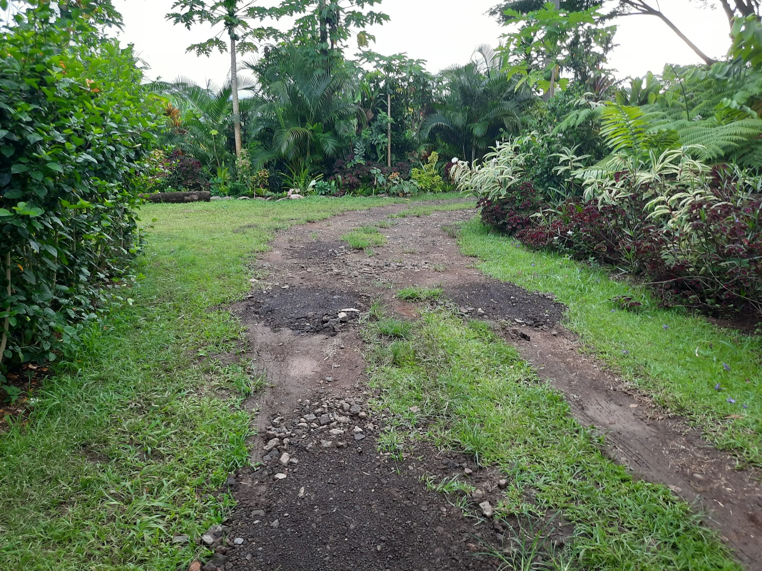 Donation $3 For Samoa Village Lepea Support - Image 5